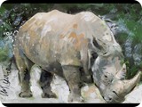 SidMaurer_20120604_Rhino2